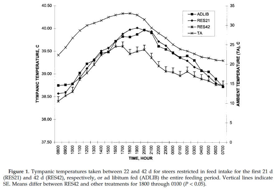 ALT TEXT: Tympanic temperatures taken between 22 and 42 d for steers restricted in feed intake for the first 21 d (RES21) and 42 d (RES42), respectively, or ad libitum fed (ADLIB) the entire feeding period. Vertical lines indicate SE. Means differ between RES42 and other treatments for 1800 through 0100 (P < 0.05).